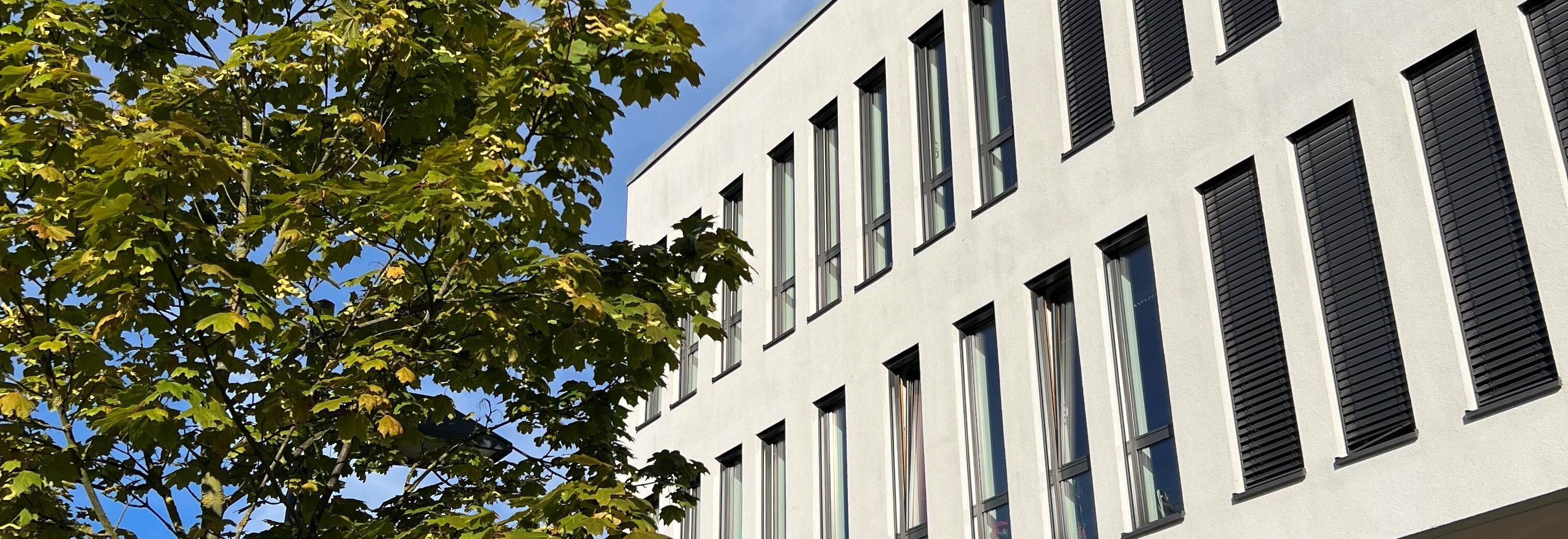 Moderne Fassade der Musikschule Hansestadt Lüneburg, umgeben von grünen Bäumen