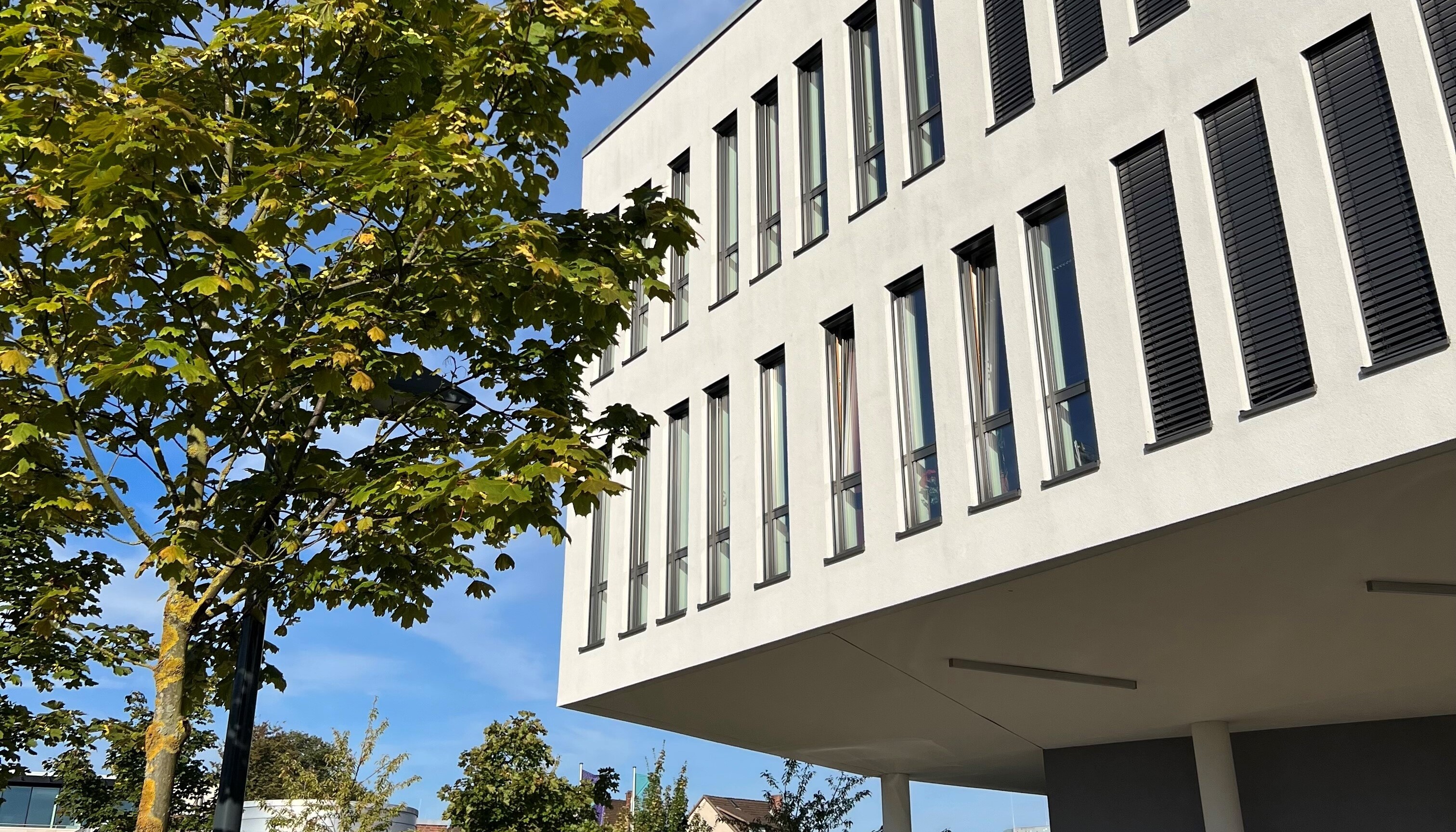 Moderne Gebäudeansicht der Musikschule Hansestadt Lüneburg mit grünen Bäumen